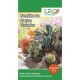 Semillas de cactus variados