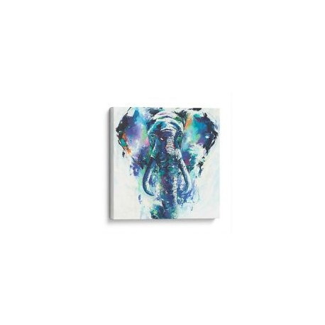 Elefante a pinceladas, canvas 50x50