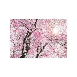 Fotomural Cerezos 368x254 cm
