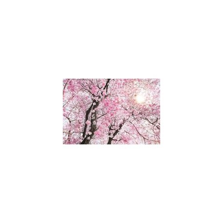 Fotomural Cerezos 368x254 cm