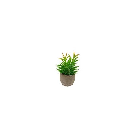 Arreglo de suculenta artificial Senecio c/maceta
