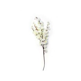 Flor de durazno crema