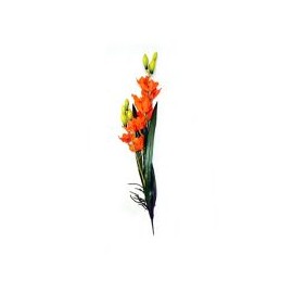Orquídea c/raíz y hojas naranja