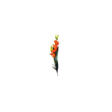 Orquídea c/raíz y hojas naranja