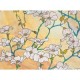 Película para ventana Dogwood 90x198 cm.