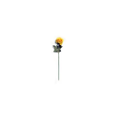 Rosa  aterciopelada amarillo
