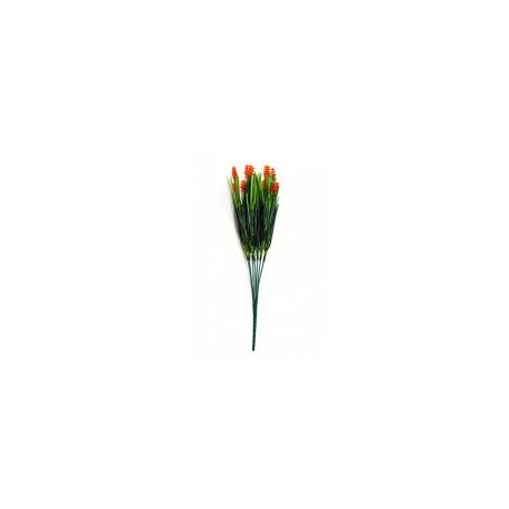 Cebollín con flores naranja