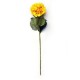 Vara de hortensia amarillo