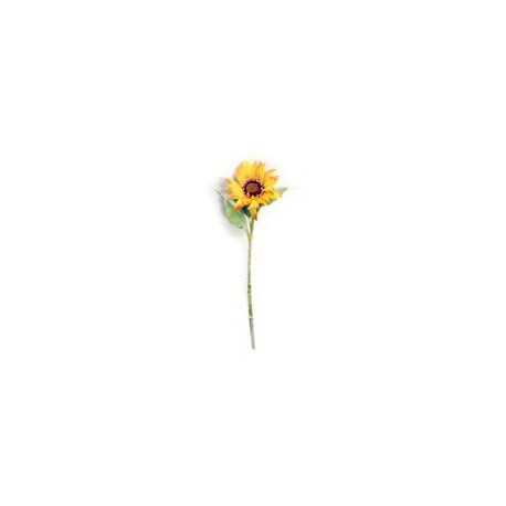 Girasol amarillo