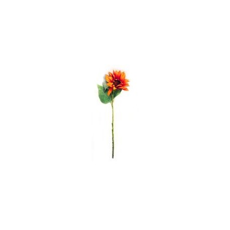 Girasol naranja