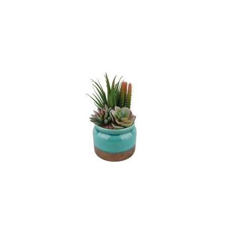 Arreglo Suculenta con Maceta Turquesa 21 cm