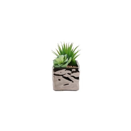 Arreglo Suculenta con Maceta Plata 17 cm