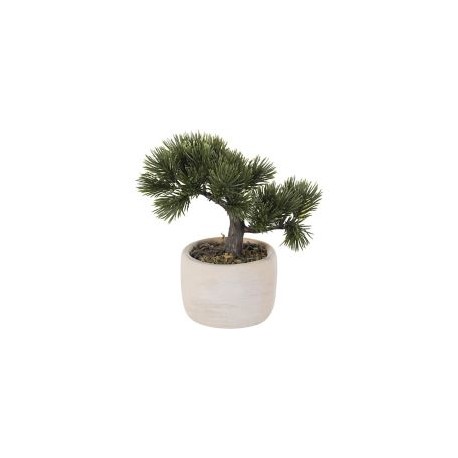 Bonsai 19Cm Hoja Pino