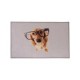 Tapete de entrada Dog sabio 50x80cm