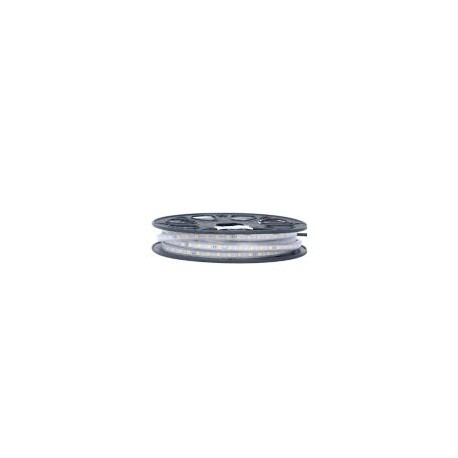 Manguera plana led 5050 SMD 127V IP65 10m fría cálida