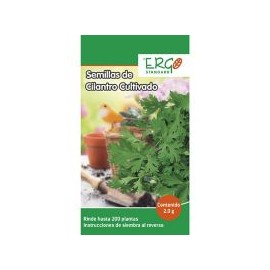 Semillas de cilantro cultivado