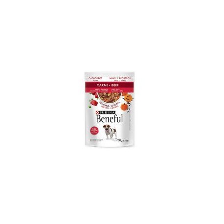 Beneful Cachorro Carne y Arroz Salvaje 100 g