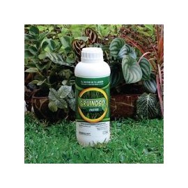 Fertilizante líquido concentrado p/ pasto 1 L