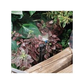 Micro aspersor 180°