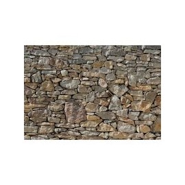 Fotomural muro de piedra 368x254 cm