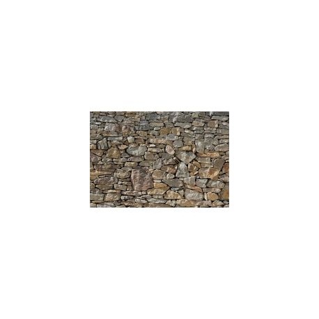 Fotomural muro de piedra 368x254 cm