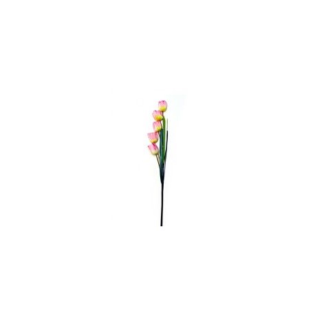Vara de tulipán rosa