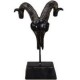 Figura decorativa craneo antilope