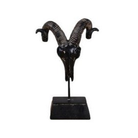 Figura decorativa craneo antilope