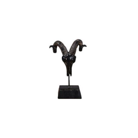 Figura decorativa craneo antilope
