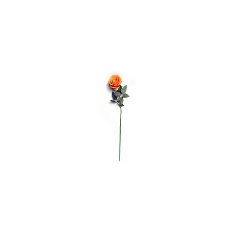 Rosa Cabbage aterciopelada naranja