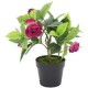 Planta artificial camelia 22 x 17 cm