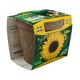 Kit de siembra i-pot girasol