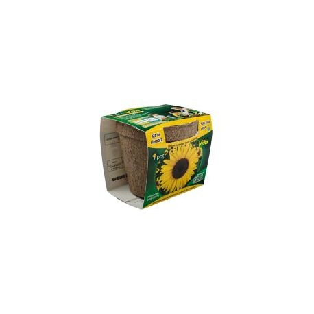 Kit de siembra i-pot girasol