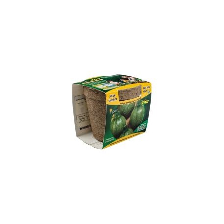 Kit de siembra calabaza redonda