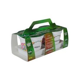 Hierba pot albahaca/perejil