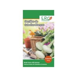 Semillas de cebollas blancas