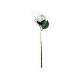 Vara de hortensia blanca