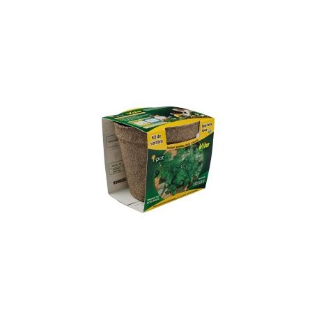 Kit de siembra i-pot cilantro