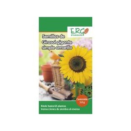 Semillas de girasol gigante