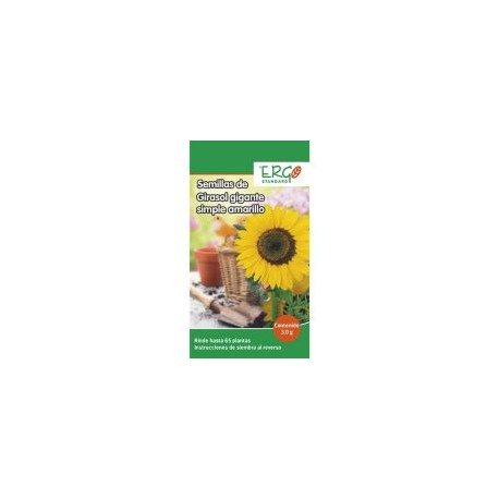 Semillas de girasol gigante