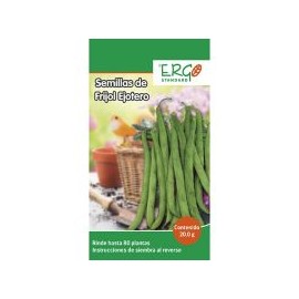 Semillas de frijol ejotero