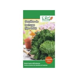 Semillas de lechuga