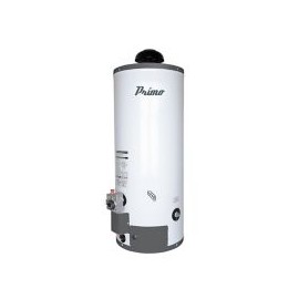 Calentador de depósito primo gas LP 60 lt
