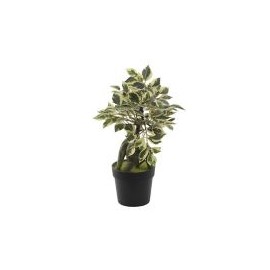 Mini Ficus planta artificial 20 x 29 cm