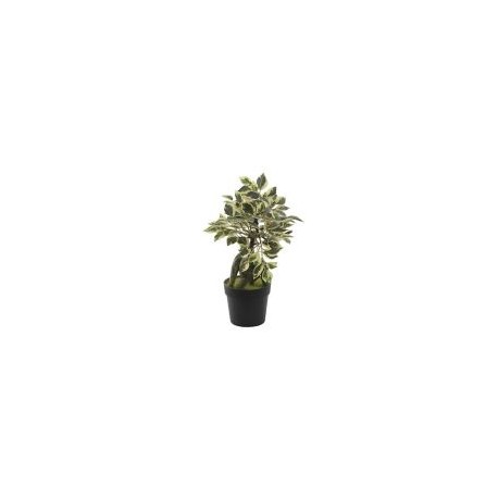 Mini Ficus planta artificial 20 x 29 cm