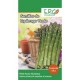 Semillas de espárrago verde