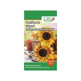 Semillas de girasol belleza de otoño