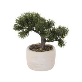 Bonsai 19Cm Hoja Pino