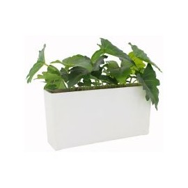 Caladium planta artificial 35 x 18 x 25 cm