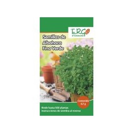 Semillas de albahaca fina verde